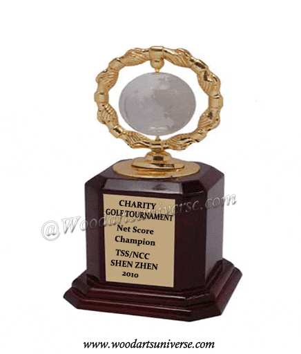 Globe Hand Shake Award WAUKN0980 Globe Hand Shake Award WAUKN0980